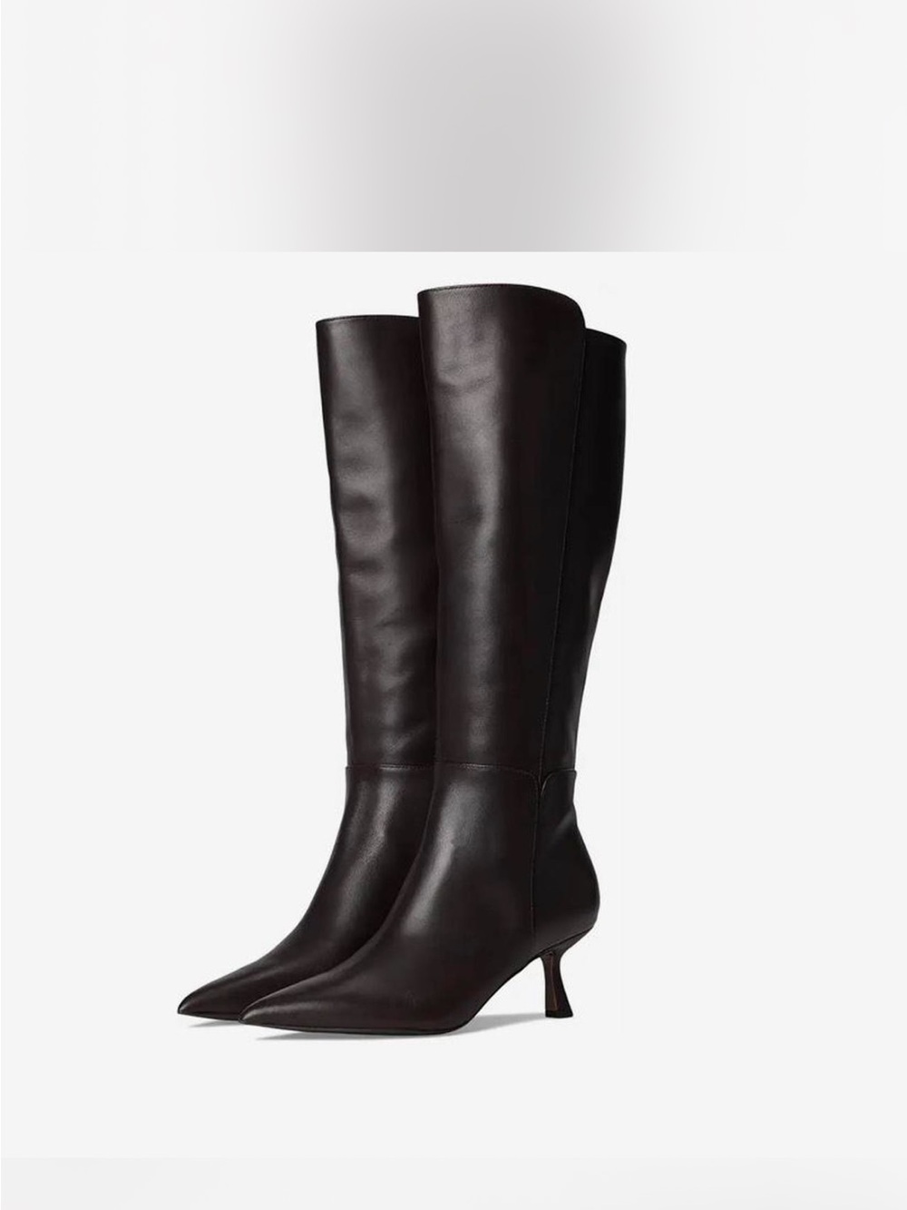 Sam Edelman Tall Pointed-Toe Over-the-Knee Boots in Dark Brown Leather